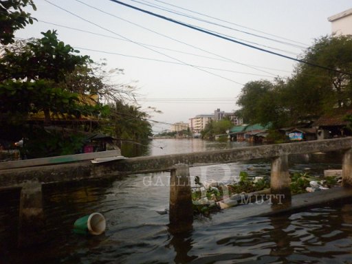 P1000621.JPG