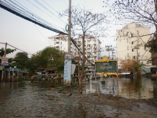 P1000623.JPG