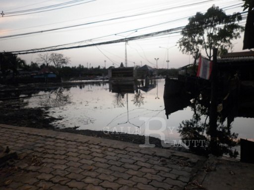 P1000628.JPG
