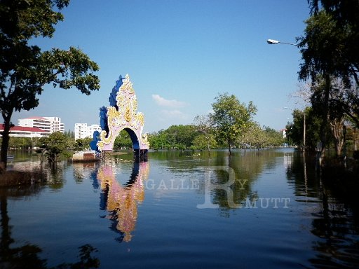P1010030.JPG