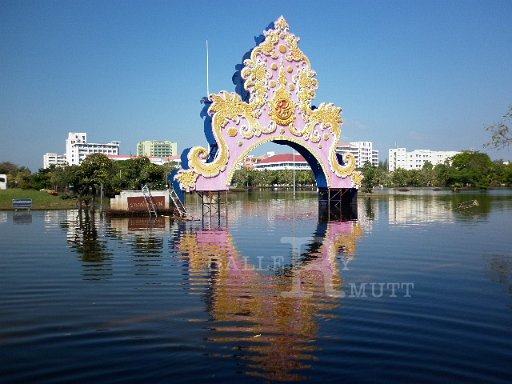 P1010032.JPG