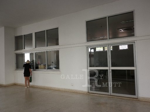 P1010039.JPG