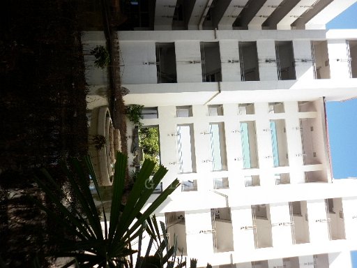 P1010045.JPG