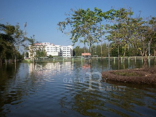 P1010055.JPG