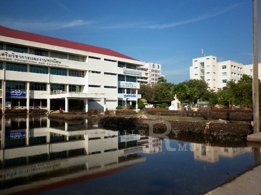 P1010078.JPG