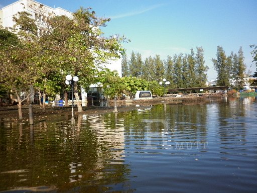 P1010085.JPG