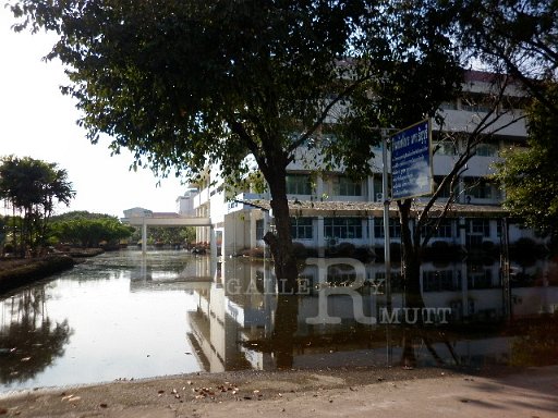 P1010099.JPG