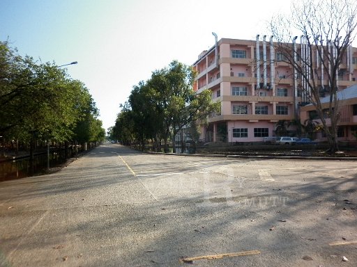 P1010104.JPG