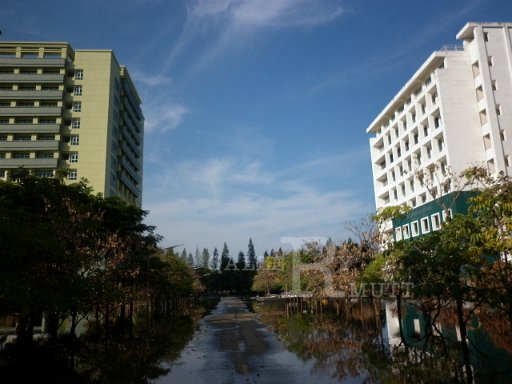 P1010106.JPG