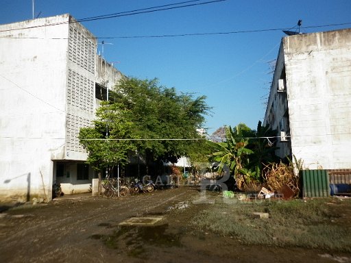 P1010152.JPG