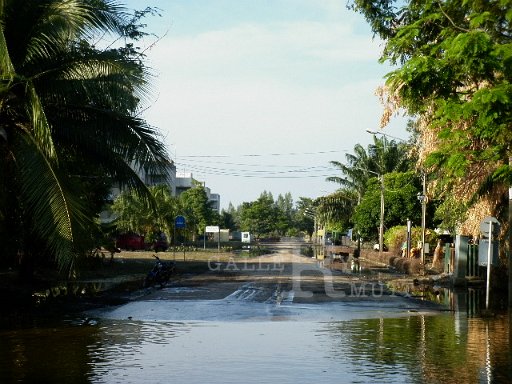 P1010165.JPG