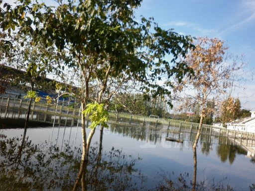 P1010188.JPG