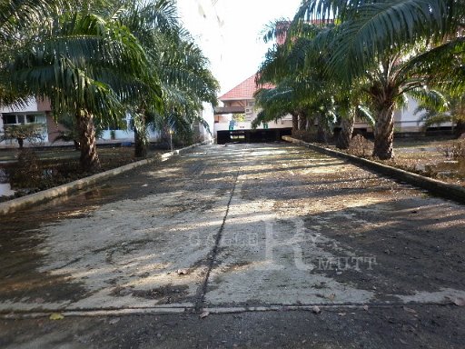 P1010216.JPG