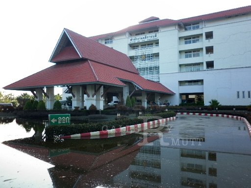 P1010219.JPG
