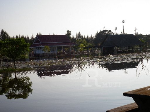 P1010259.JPG