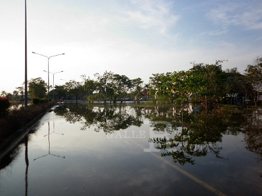 P1010274.JPG