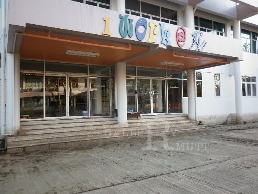 P1010281.JPG