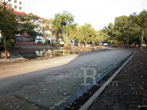 P1010287.JPG