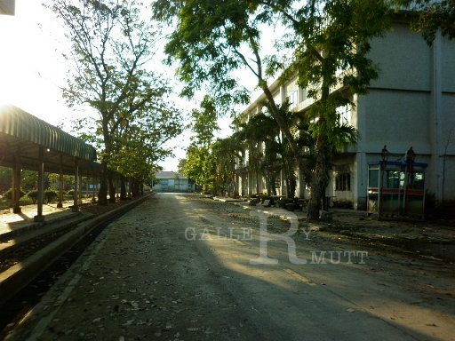 P1010288.JPG