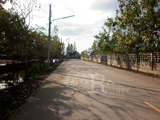 P1010291.JPG