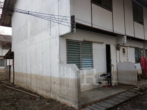 P1010300.JPG