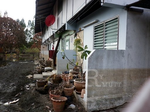 P1010304.JPG