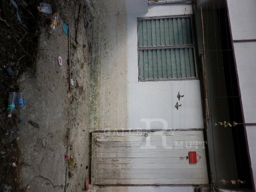 P1010306.JPG