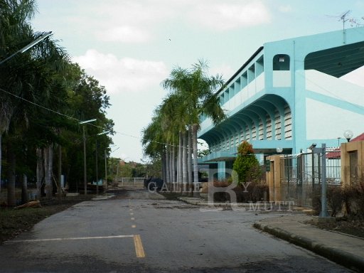 P1010313.JPG