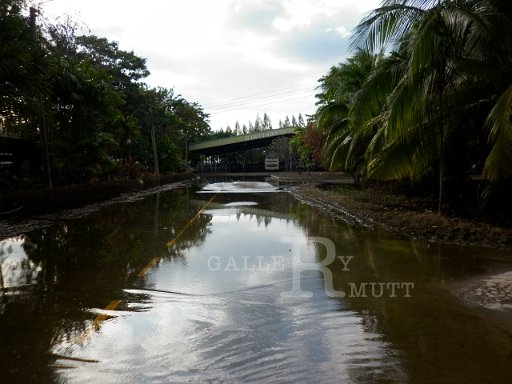 P1010320.JPG