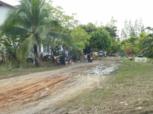 P1010325.JPG