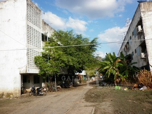 P1010329.JPG
