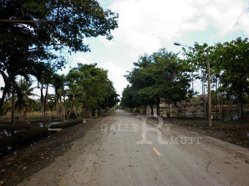 P1010341.JPG