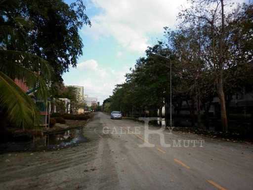 P1010344.JPG