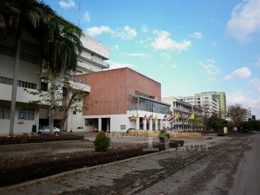 P1010350.JPG