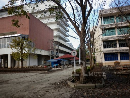 P1010355.JPG