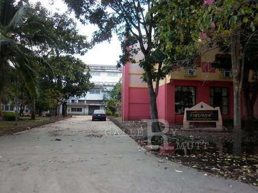 P1010356.JPG