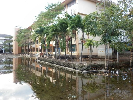 P1010375.JPG