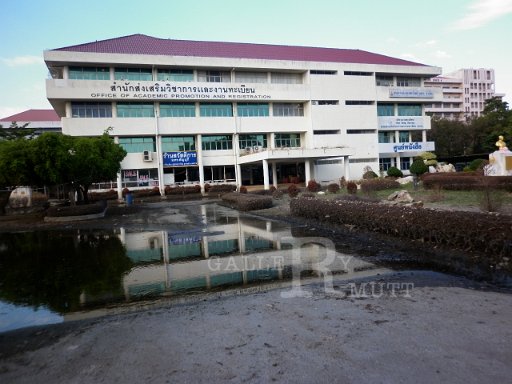 P1010389.JPG