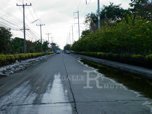 P1010410.JPG