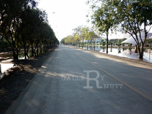 P1010424.JPG