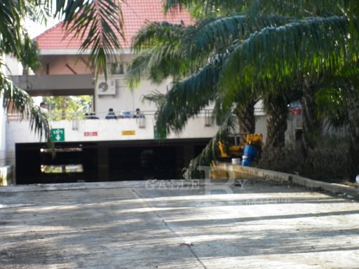 P1010426.JPG