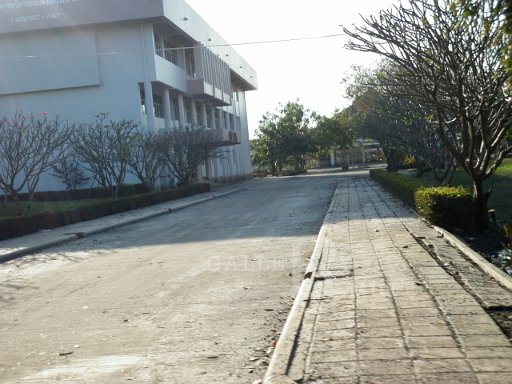 P1010430.JPG