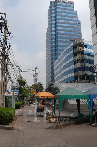 P1170574.JPG