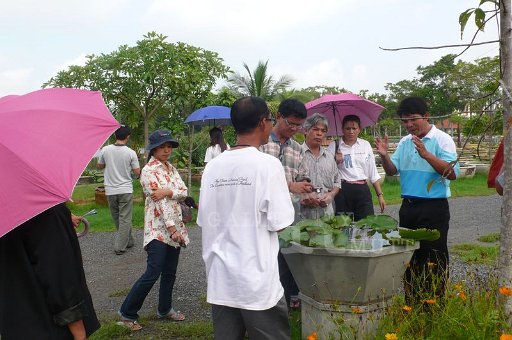 P1180033.JPG