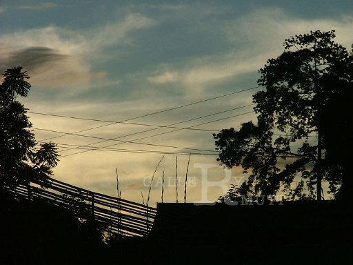 DSCF3741.JPG