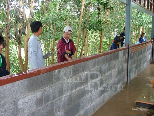 DSCF4316.JPG