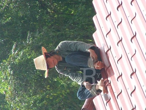 DSCF4441.JPG