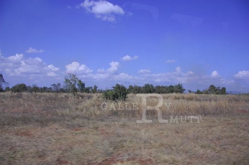 DSC_0107.JPG