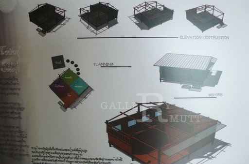 P1100853.JPG