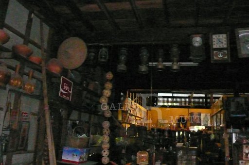 P1170006.JPG